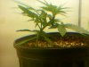 20110207133549.jpg