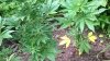 WP_20140726_004.jpg