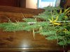 20140726_233407.jpg