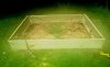 Oldster_Greenhouse_Ponywall_Squared.jpg