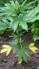 WP_20140726_003.jpg