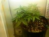 20110211130920.jpg