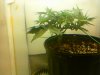 20110211130925.jpg