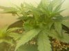 20110211130959.jpg