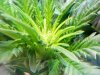 20110211131222.jpg