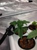 photo_2041.jpg