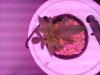 20140802_103945.jpg