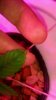mir_20140805_084147.jpg