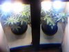 20110218123316.jpg