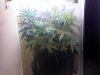 20110218123337.jpg