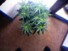 20110218123727.jpg