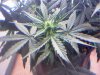 20110218123743.jpg