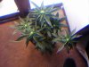 20110218124122.jpg