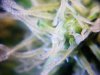 20110218124317.jpg
