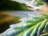 20110218124343.jpg