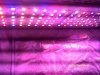DSCF0016.jpg DSCF0016.jpg