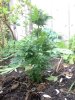 2014-08-10 13.38.57.jpg