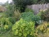2014-08-10 13.38.24.jpg