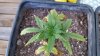 20140810_085938.jpg