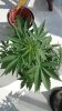 AK_2014-08-11.jpg