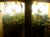 20110225132601.jpg 20110225132601.jpg