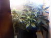 20110225132707.jpg 20110225132707.jpg