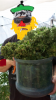 2008-02-11 001 108 (362x640).png