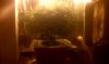 IMAG0037.jpg