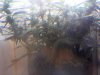 20110228130728.jpg 20110228130728.jpg