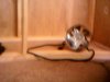 20110228131120.jpg 20110228131120.jpg