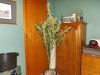 DSCF0320.jpg