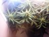 20110305122428.jpg