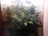 20110305122501.jpg