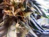 20110305122813.jpg