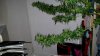 20140821_174657.jpg