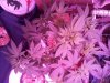 20140823_231857.jpg