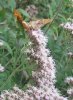 2014-08-26_105718.jpg