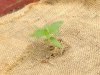 20140816_125635.jpg