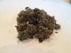 WWXXLBuds2gallon 004.jpg