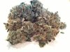 WWXXLBuds2gallon 005.jpg
