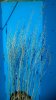 100_7198.jpg