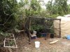 2013_0829bush10004.JPG