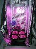 new tent 003.jpg