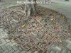 Amazing-Funny-Pictures-of-Nature-2.jpg