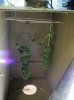 ghetto-dry-box.jpg