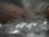 100_0877.jpg