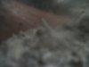 100_0878.jpg