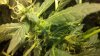 2011-04-17_21-53-56_203.jpg