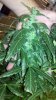 2011-04-24_22-39-28_832.jpg