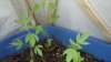 2011-05-02_16-57-36_35.jpg 2011-05-02_16-57-36_35.jpg